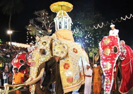 kandy festival tour icon