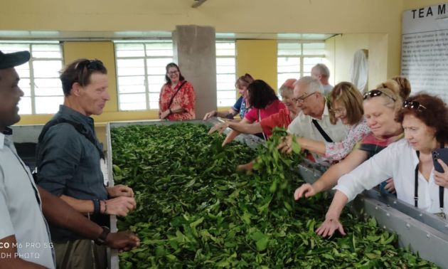 Group exploring the tea factory in Munnar