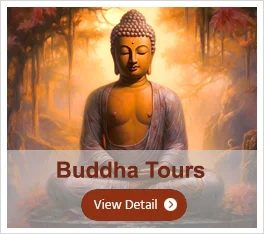 Buddha Tours India